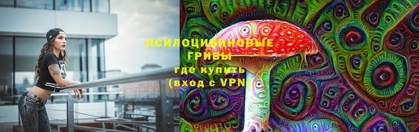 синтетический гашиш Алексин