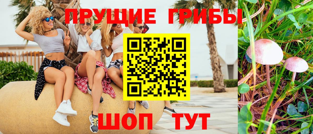 Галлюциногенные грибы Psilocybine cubensis  Псилоцибиновые грибы мухоморы  Вход с VPN  Нововоронеж 